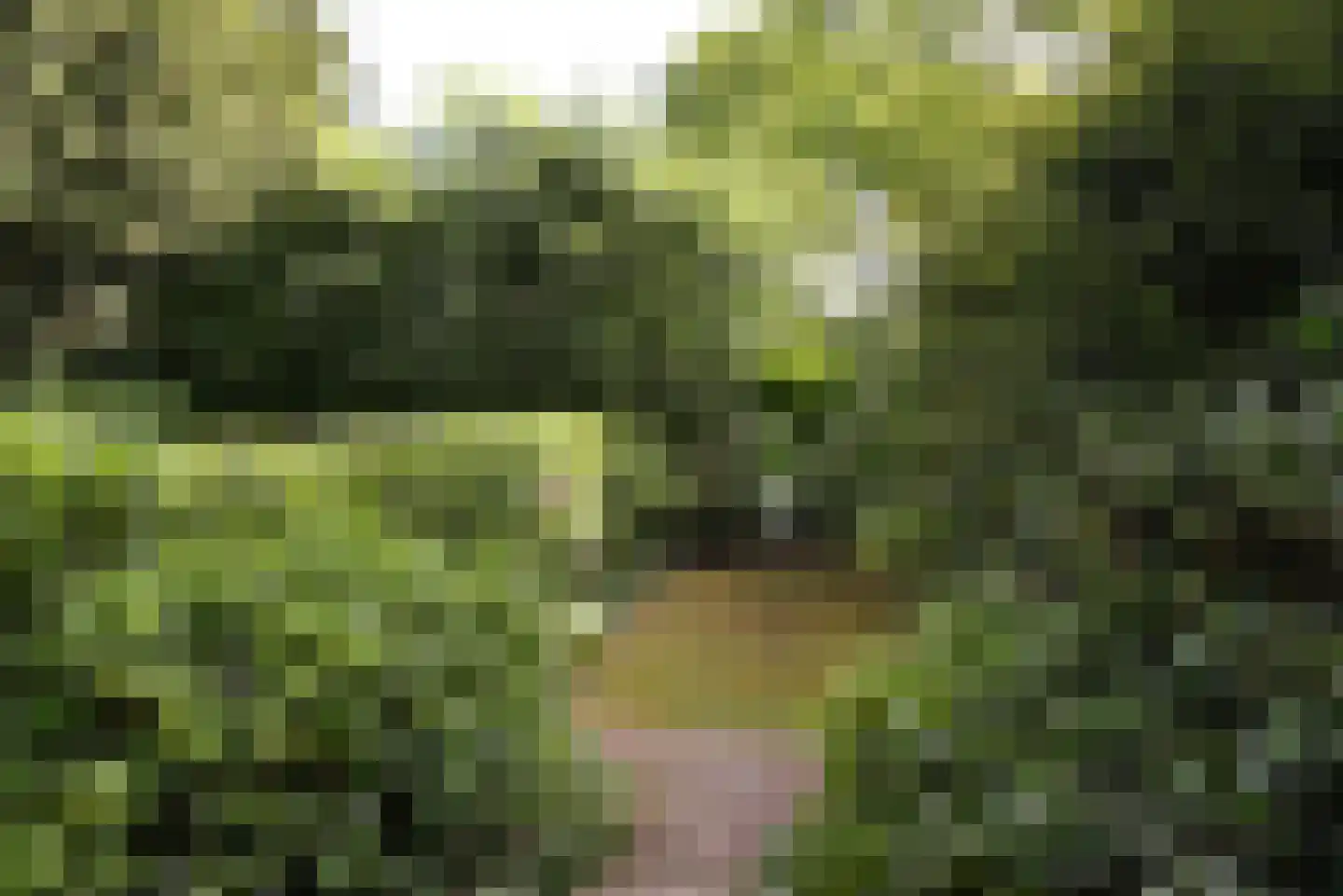 Dillenburglaan 36 Baarn thumbnail 7