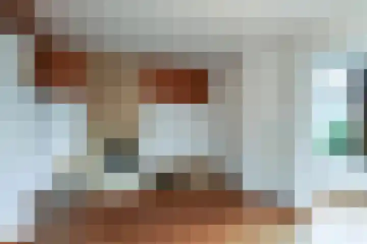 Dillenburglaan 4 Velp thumbnail 15