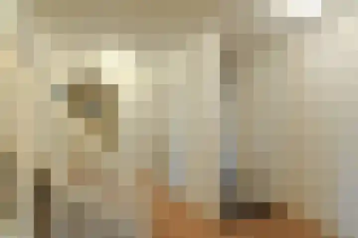 Dillenburglaan 4 Velp thumbnail 20