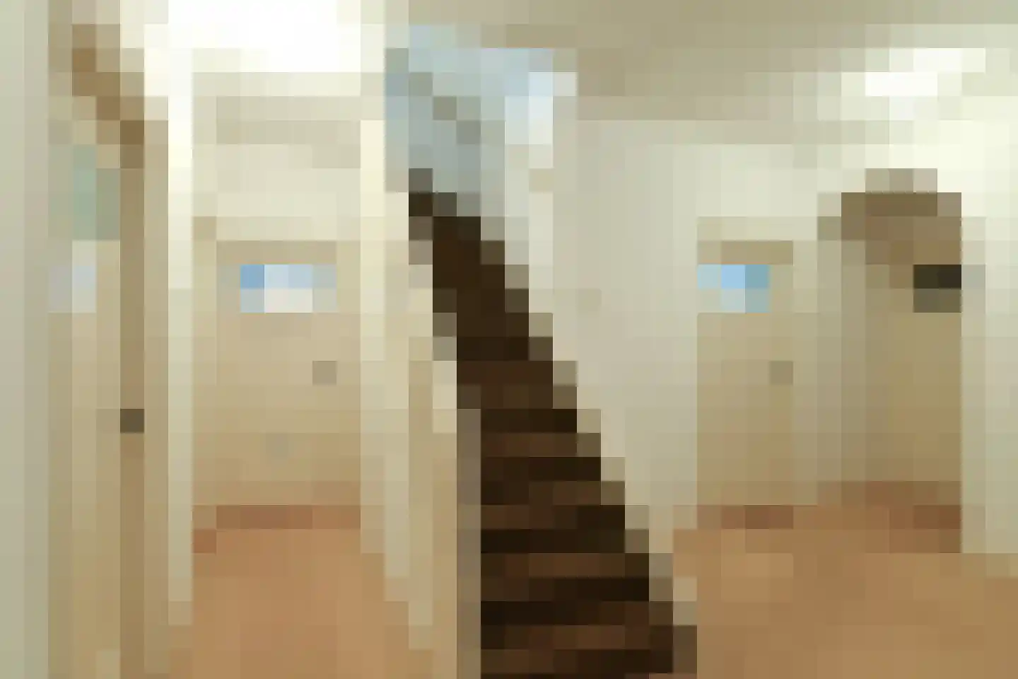 Dillenburglaan 4 Velp thumbnail 30