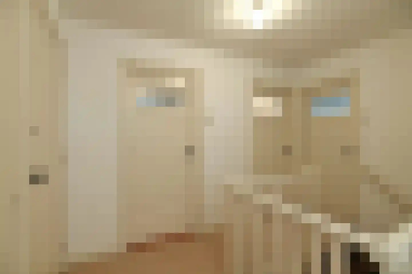Dillenburglaan 4 Velp thumbnail 31