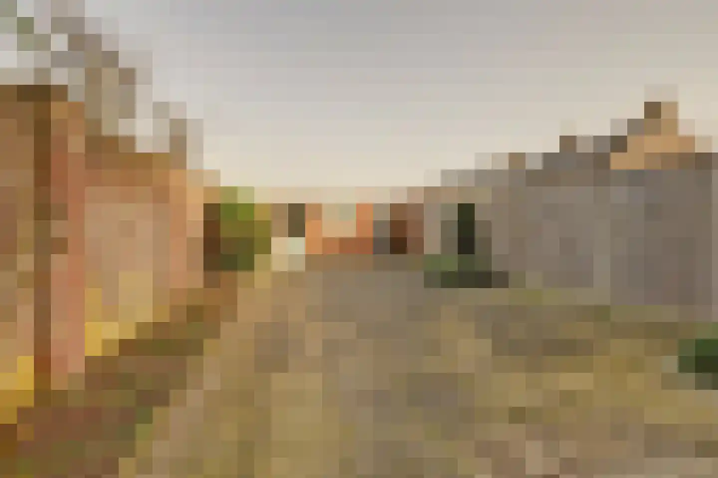 Dillenburglaan 4 Velp thumbnail 35