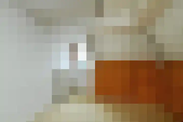 Dillenburglaan 4 Velp thumbnail 35
