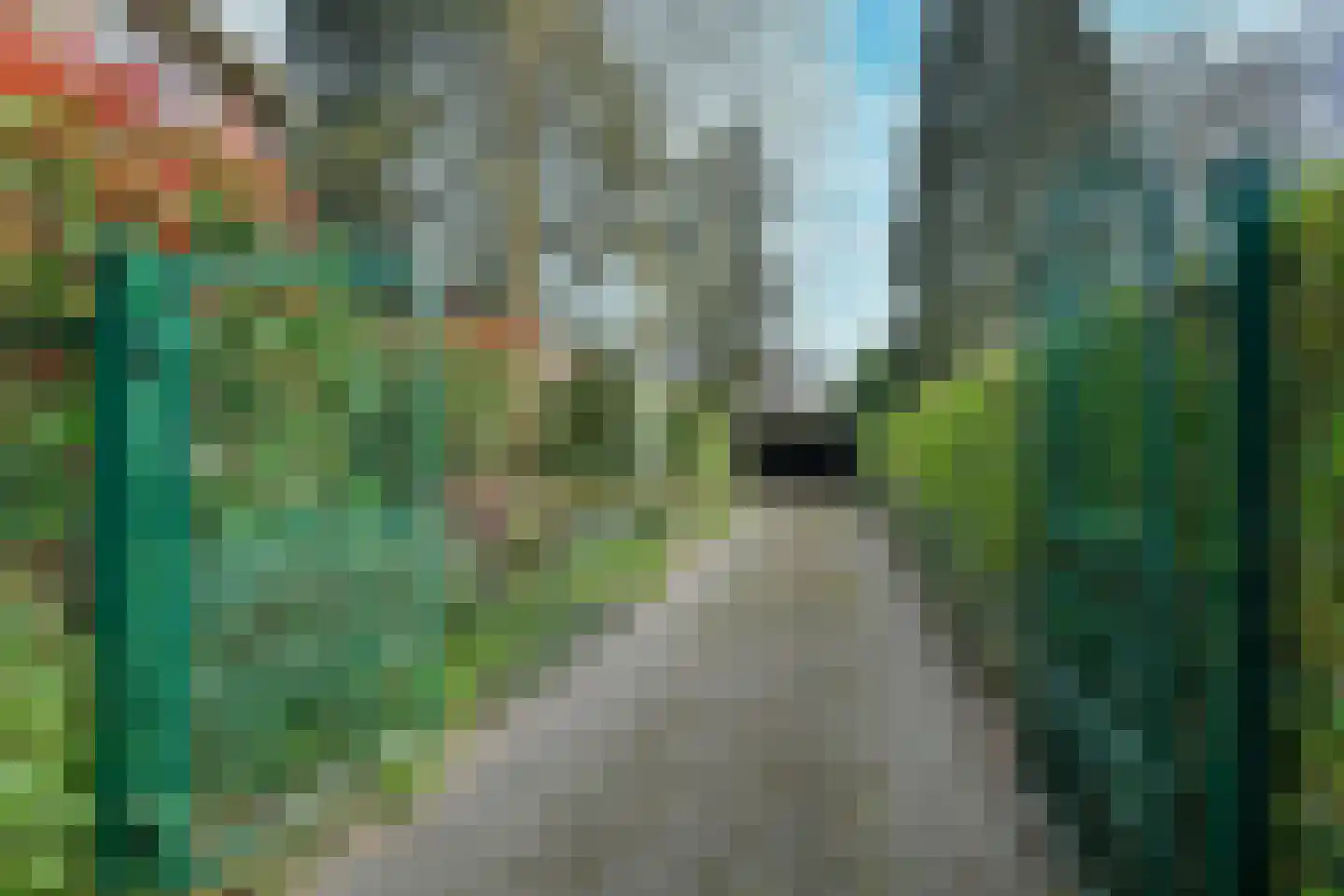 Dillenburglaan 4 Velp thumbnail 37