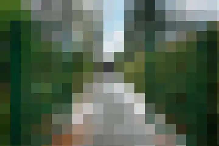 Dillenburglaan 4 Velp thumbnail 38
