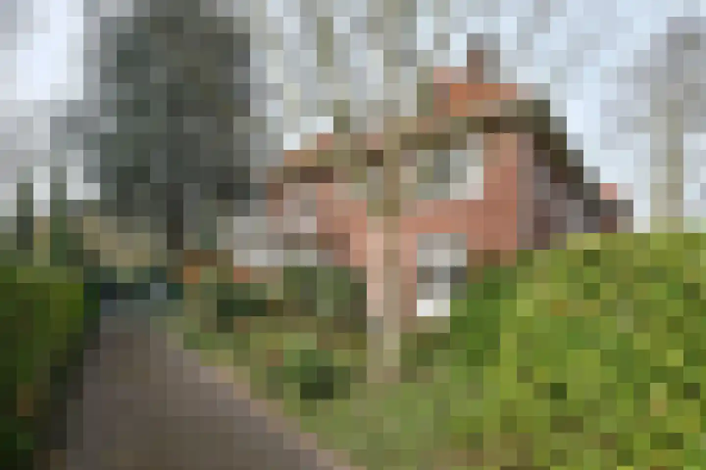 Dillenburglaan 4 Velp thumbnail 38