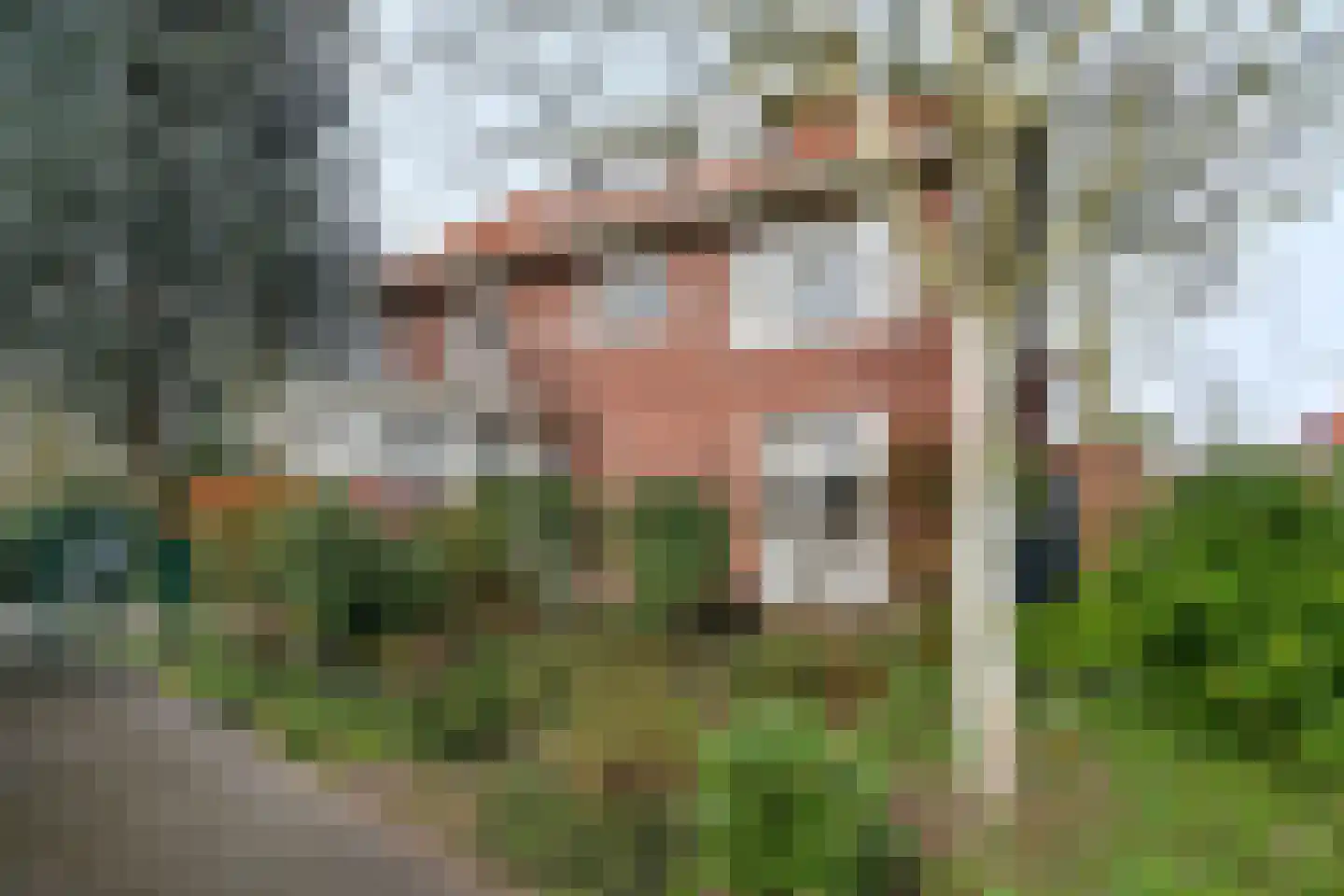 Dillenburglaan 4 Velp thumbnail 39