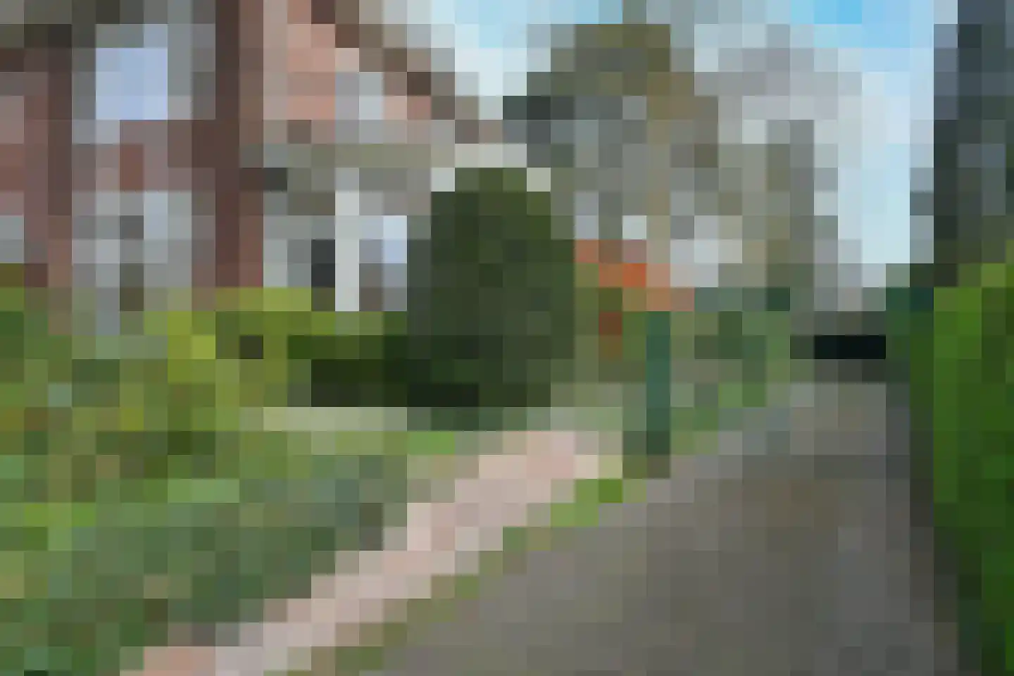 Dillenburglaan 4 Velp thumbnail 4