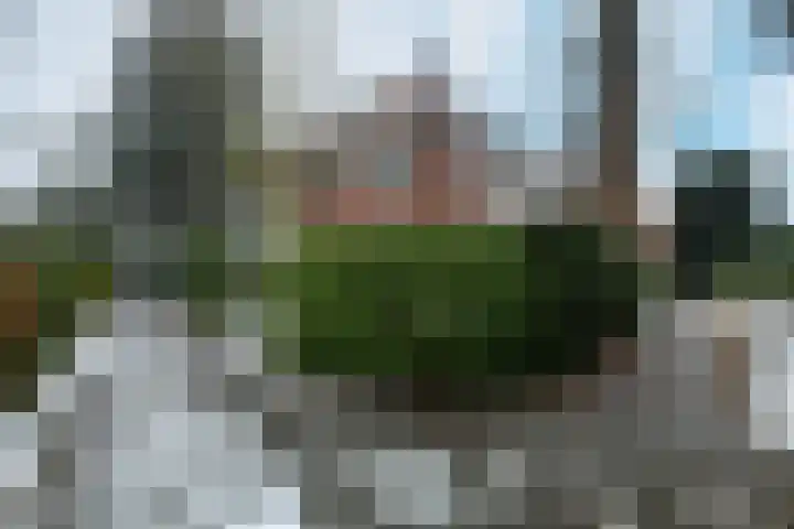 Dillenburglaan 4 Velp thumbnail 40