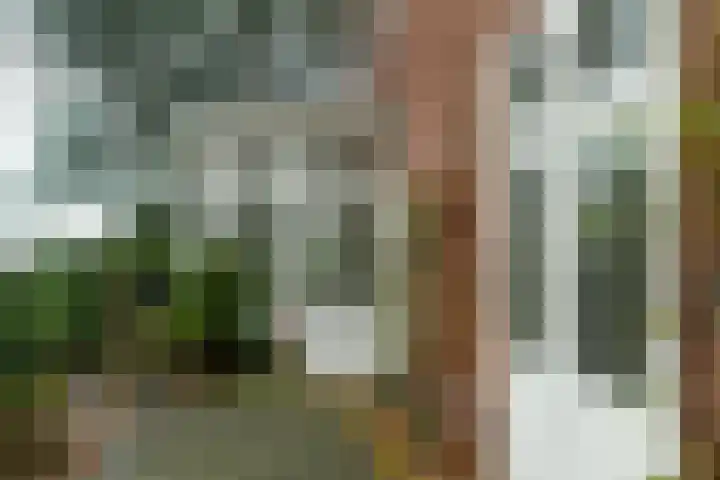 Dillenburglaan 4 Velp thumbnail 42