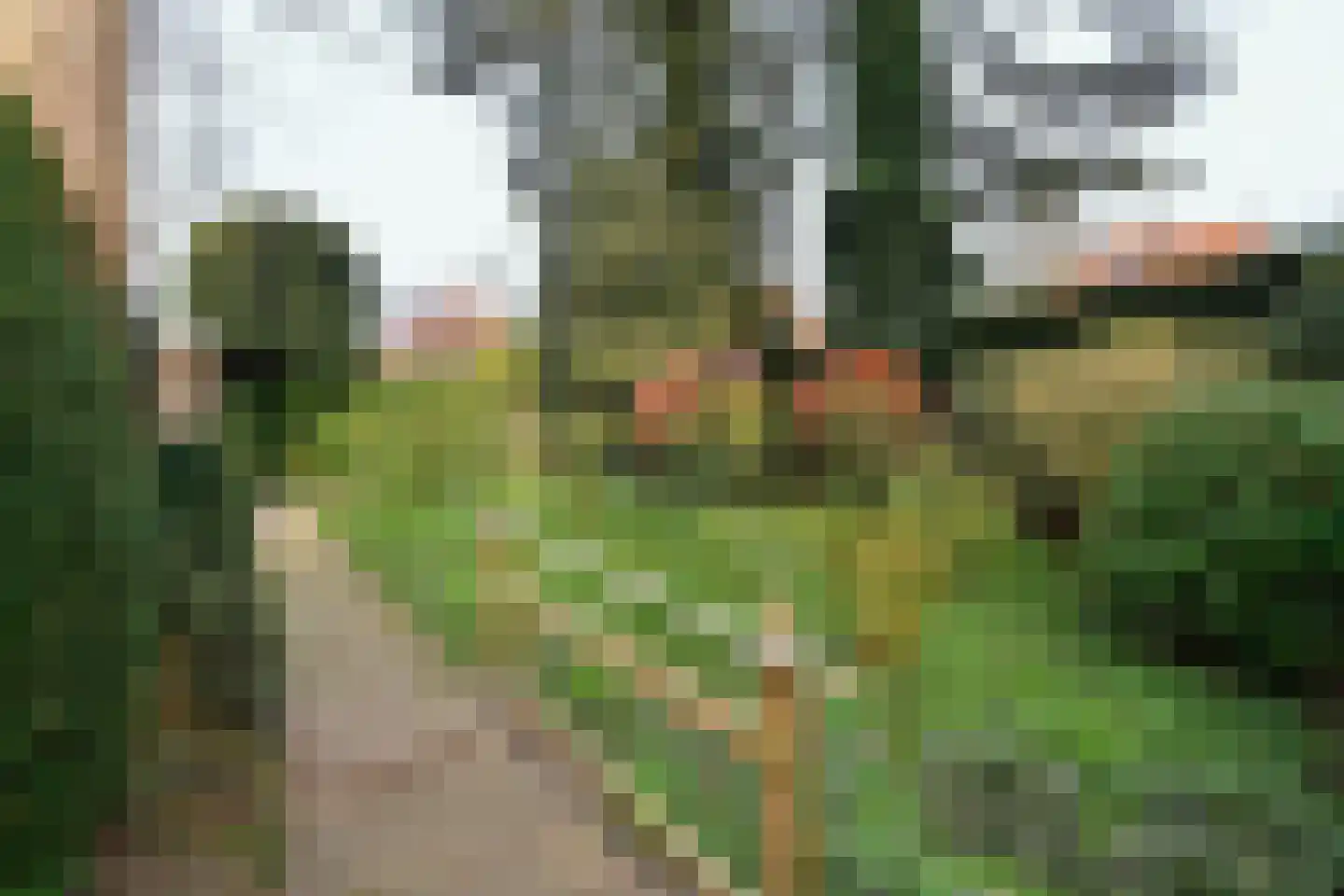 Dillenburglaan 4 Velp thumbnail 44