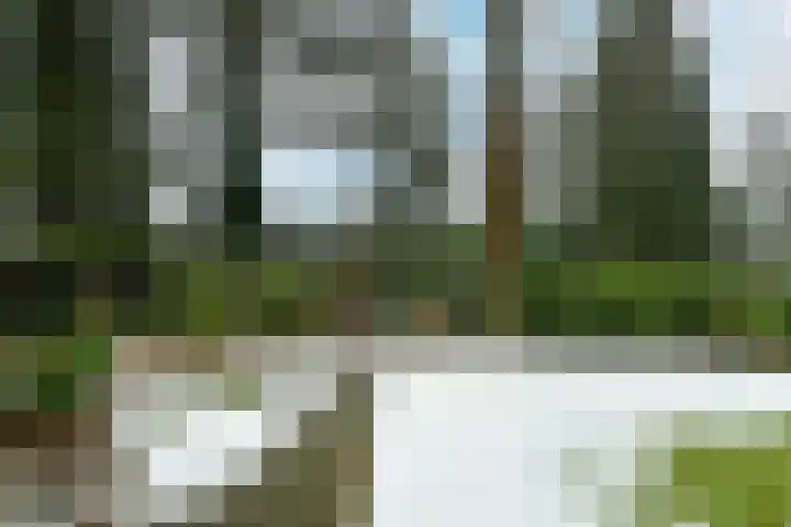 Dillenburglaan 4 Velp thumbnail 44