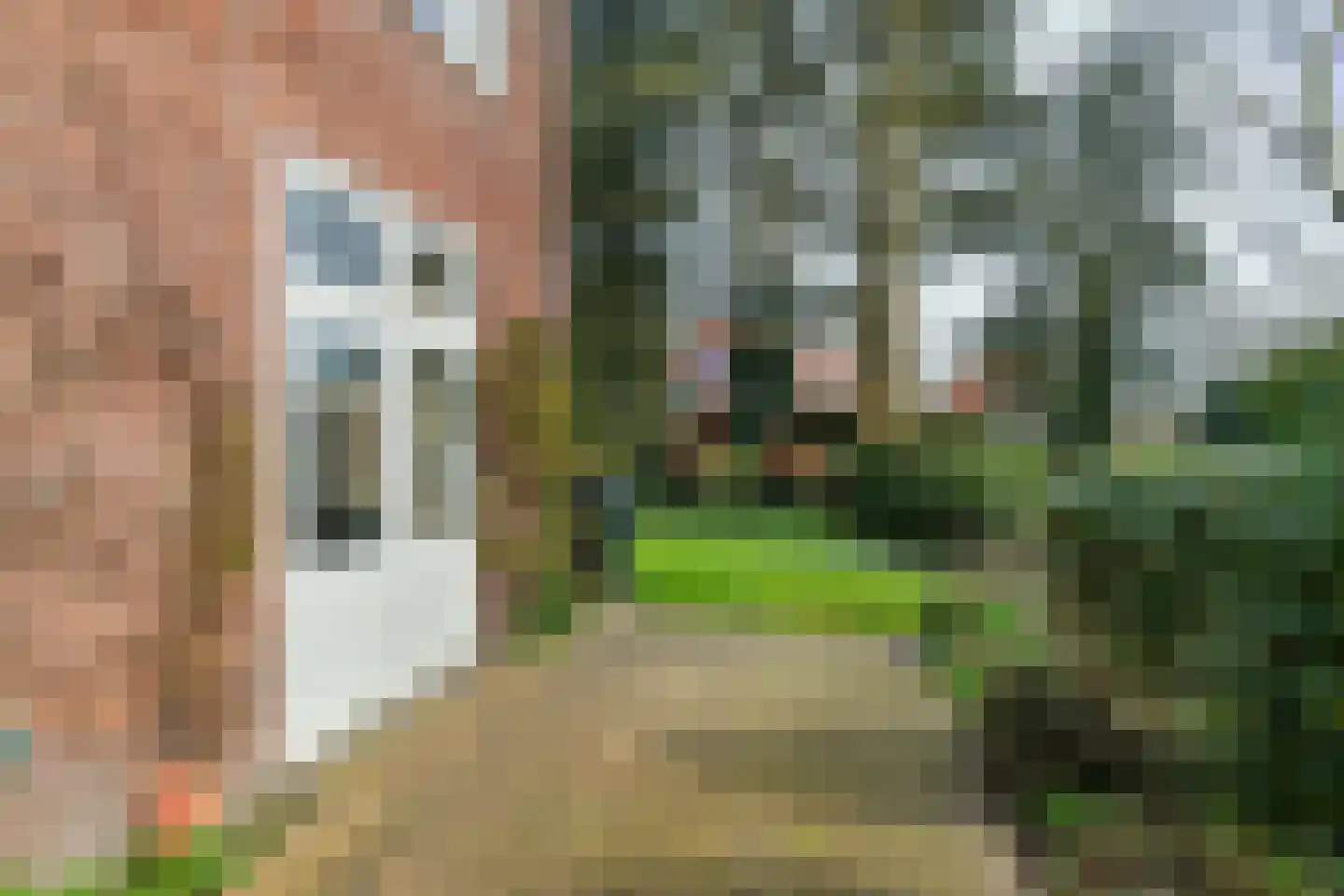 Dillenburglaan 4 Velp thumbnail 45