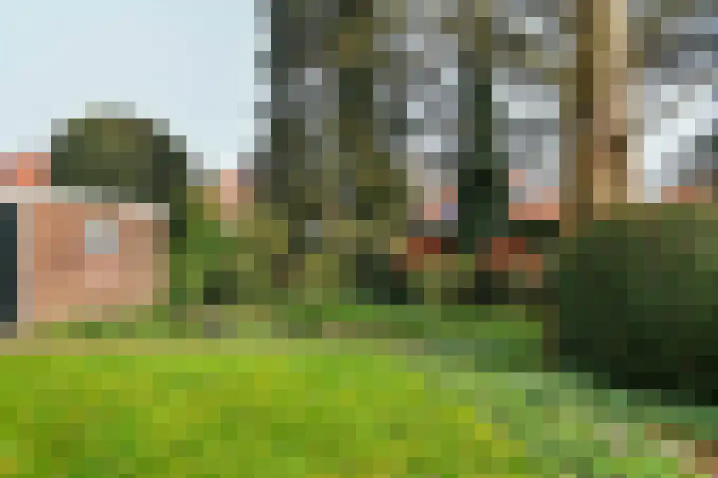 Dillenburglaan 4 Velp thumbnail 5