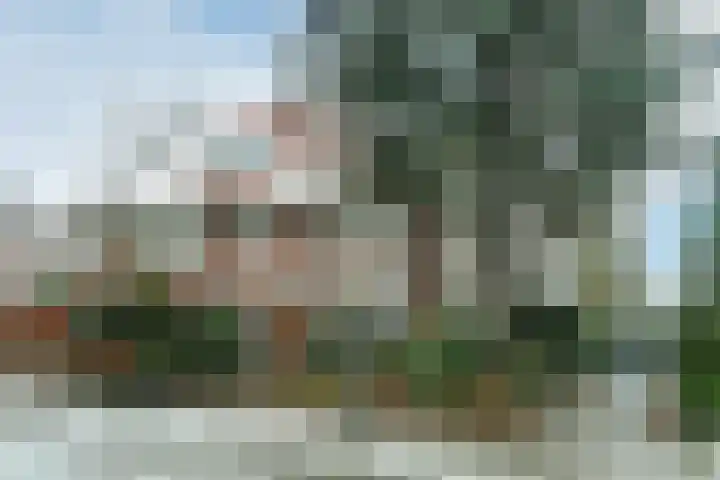 Dillenburglaan 4 Velp thumbnail 6