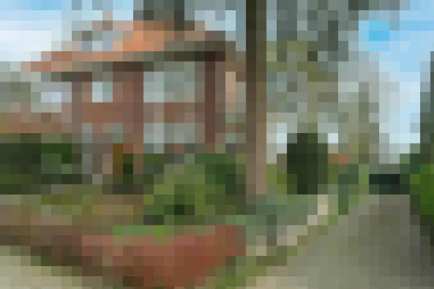 Dillenburglaan 4 Velp thumbnail 8