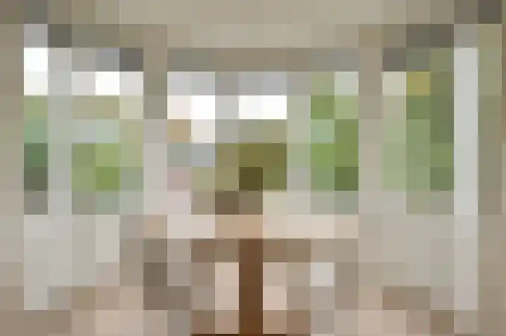 Dillenburglaan 46 Soest thumbnail 4