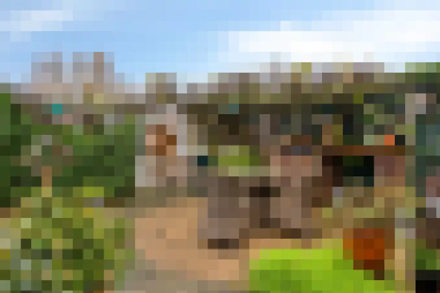 Dillenburglaan 49 Goes thumbnail 41