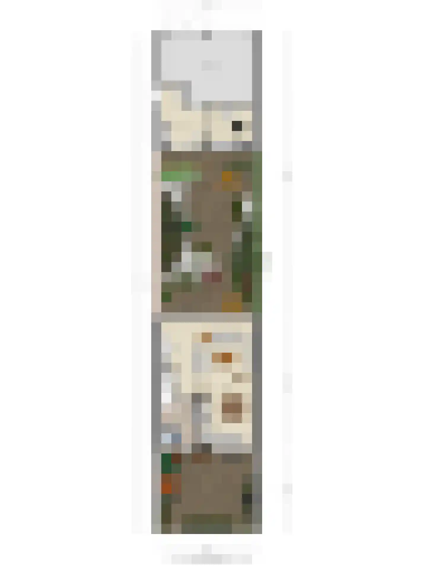 Dillenburglaan 49 Goes thumbnail 57