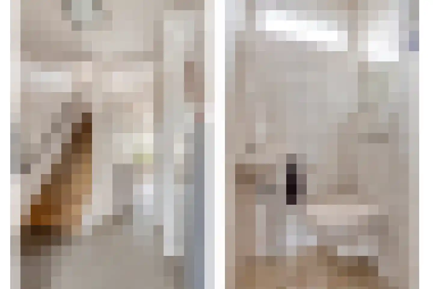 Dillenburglaan 49 Goes thumbnail 8