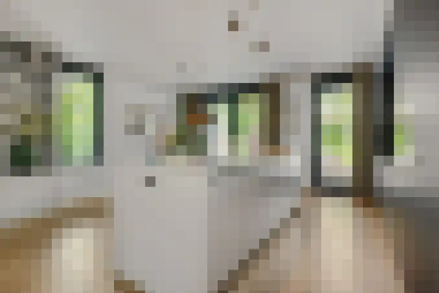 Dillenburglaan 5 A Vught thumbnail 11