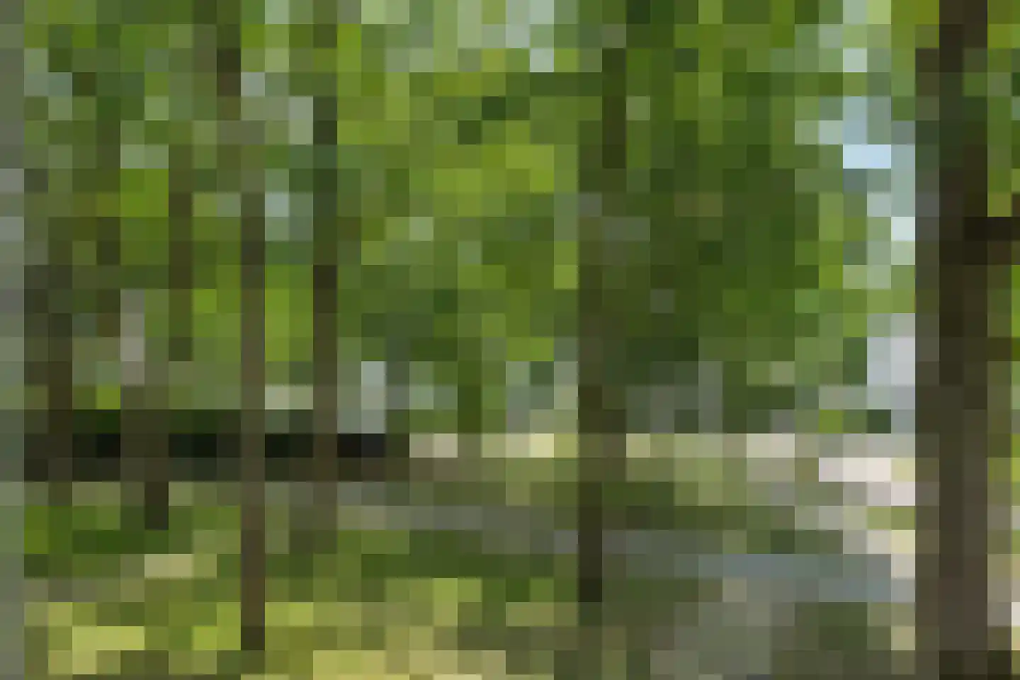 Dillenburglaan 5 A Vught thumbnail 23