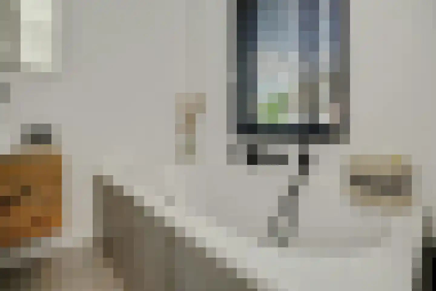 Dillenburglaan 5 A Vught thumbnail 26