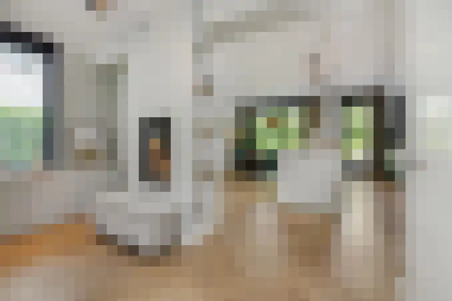 Dillenburglaan 5 A Vught thumbnail 4