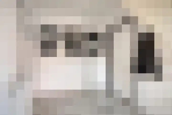 Dillenburglaan 5 C Heiligerlee thumbnail 11