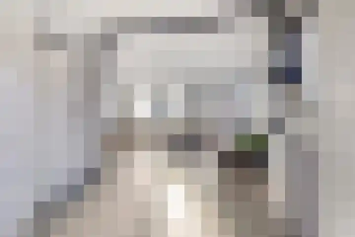 Dillenburglaan 5 C Heiligerlee thumbnail 12
