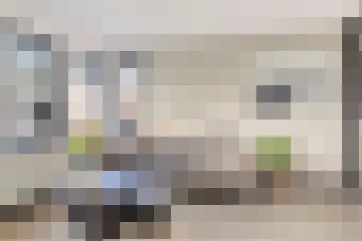 Dillenburglaan 5 C Heiligerlee thumbnail 15