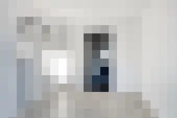 Dillenburglaan 5 C Heiligerlee thumbnail 24