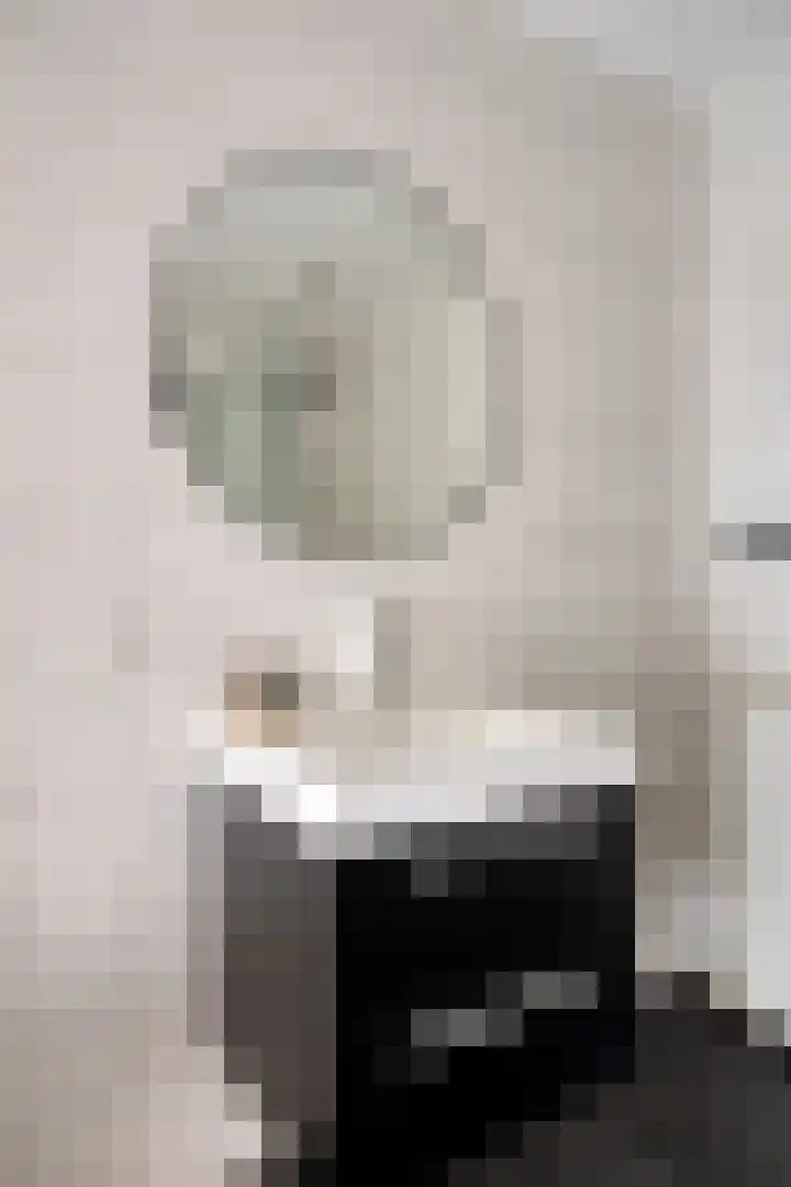 Dillenburglaan 5 C Heiligerlee thumbnail 28