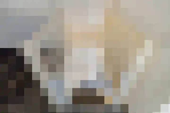 Dillenburglaan 5 C Heiligerlee thumbnail 31