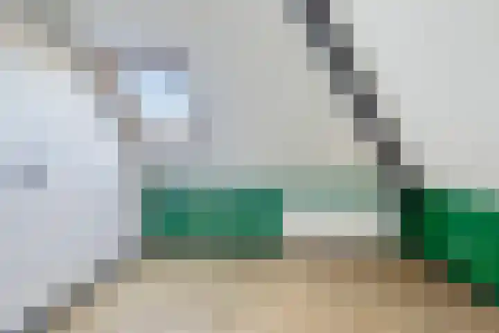 Dillenburglaan 5 C Heiligerlee thumbnail 33
