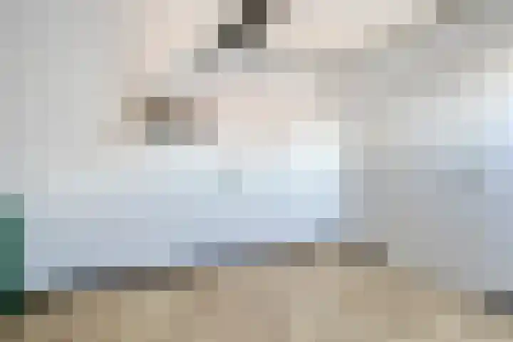 Dillenburglaan 5 C Heiligerlee thumbnail 34