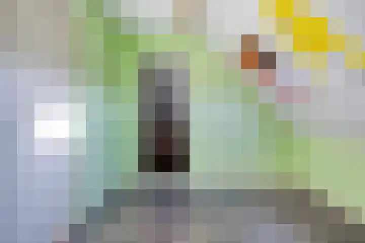 Dillenburglaan 5 C Heiligerlee thumbnail 36