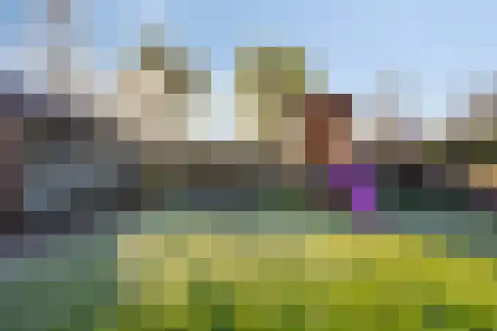 Dillenburglaan 5 C Heiligerlee thumbnail 39