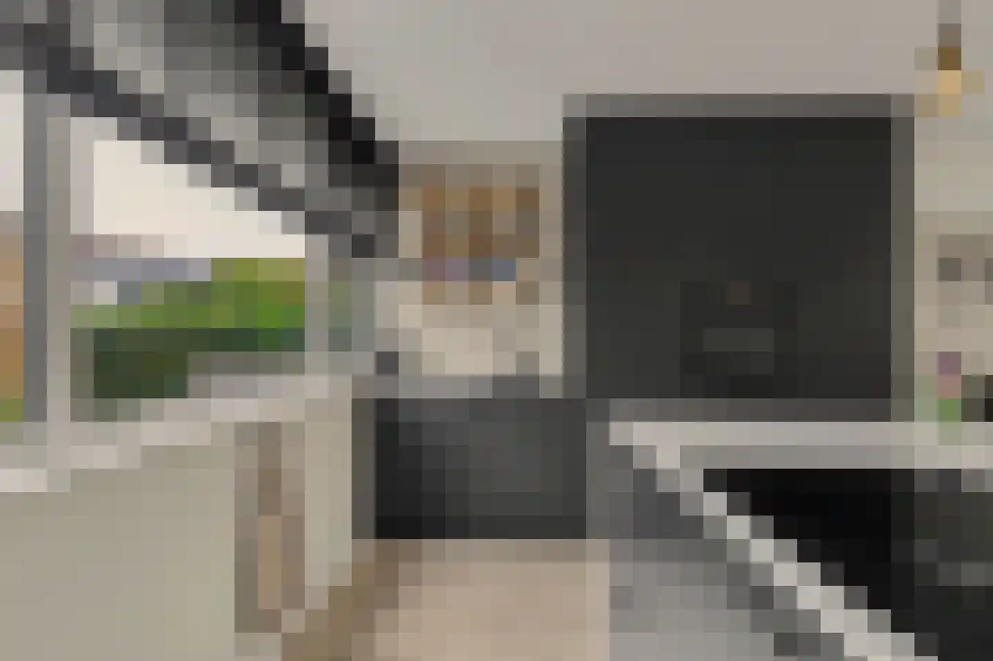 Dillenburglaan 53 Goes thumbnail 10