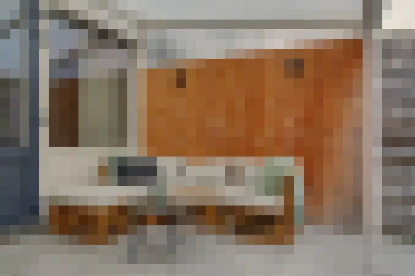 Dillenburglaan 53 Goes thumbnail 25