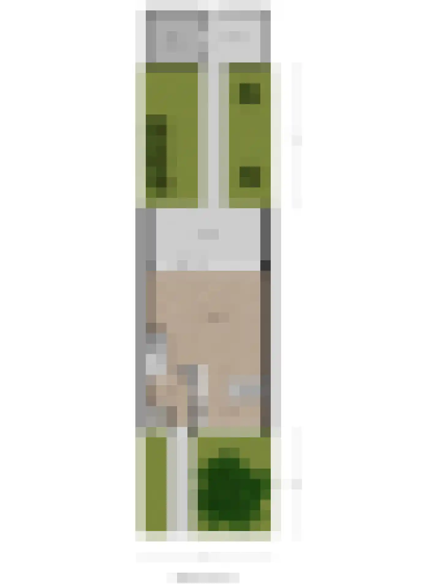 Dillenburglaan 53 Goes thumbnail 41