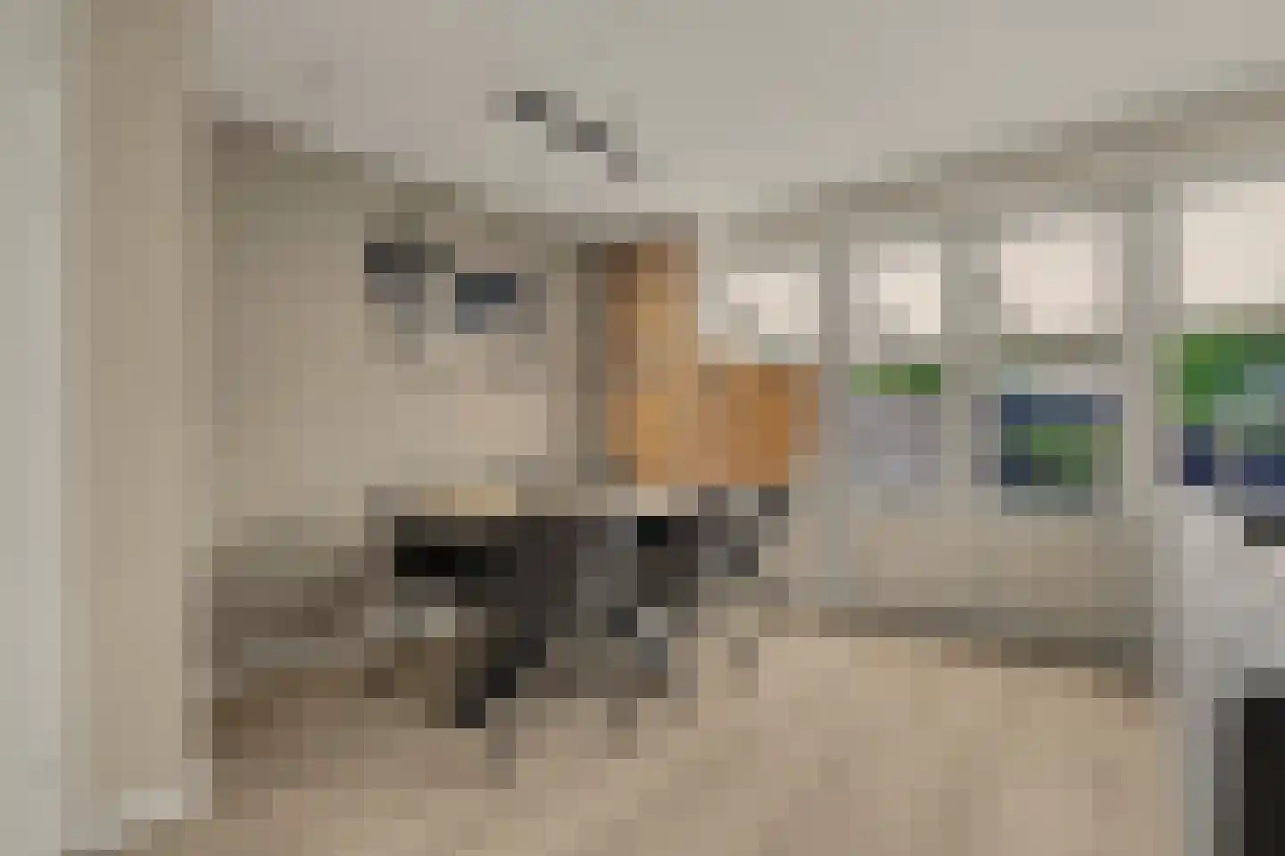 Dillenburglaan 53 Goes thumbnail 7