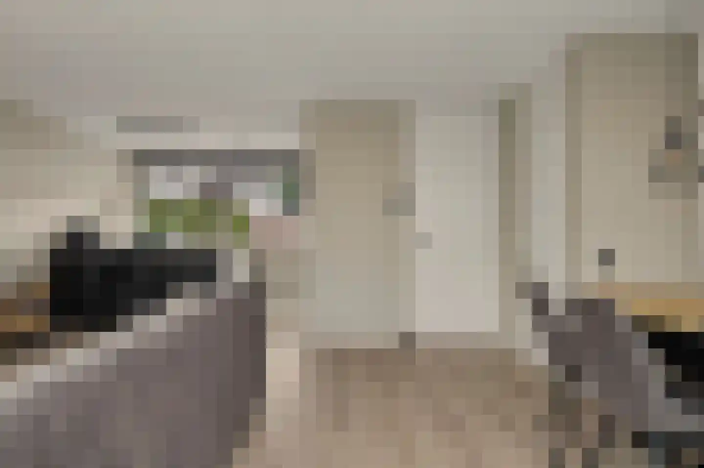Dillenburglaan 53 Goes thumbnail 8