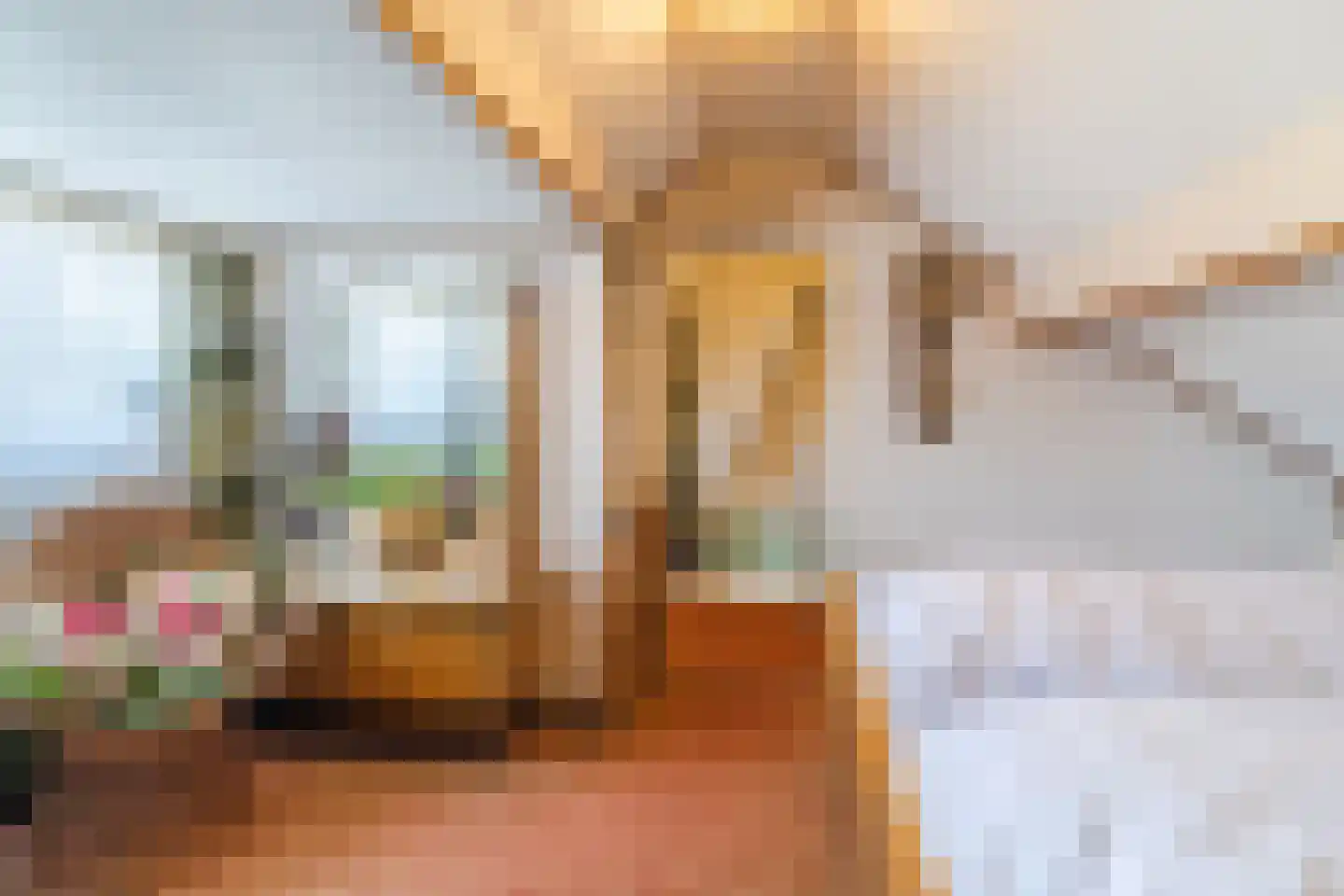 Dillenburglaan 61 Tilburg thumbnail 24