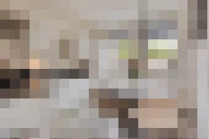 Dillenburglaan 8 Heiligerlee thumbnail 13