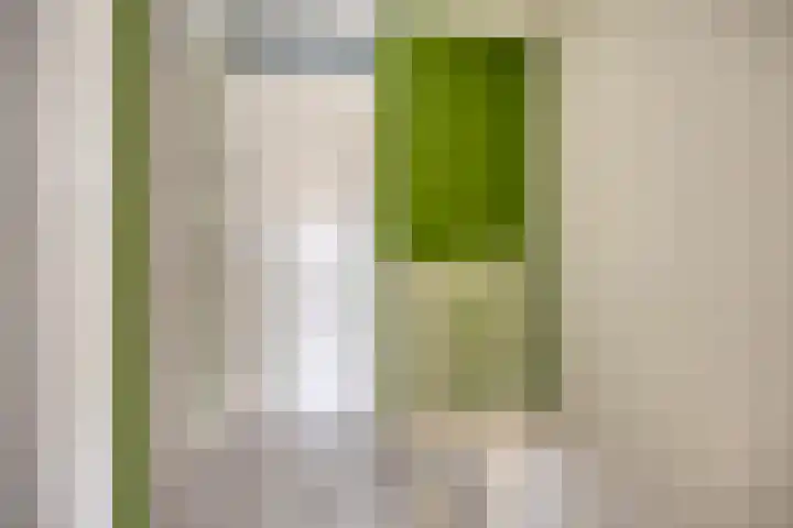 Dillenburglaan 8 Heiligerlee thumbnail 15