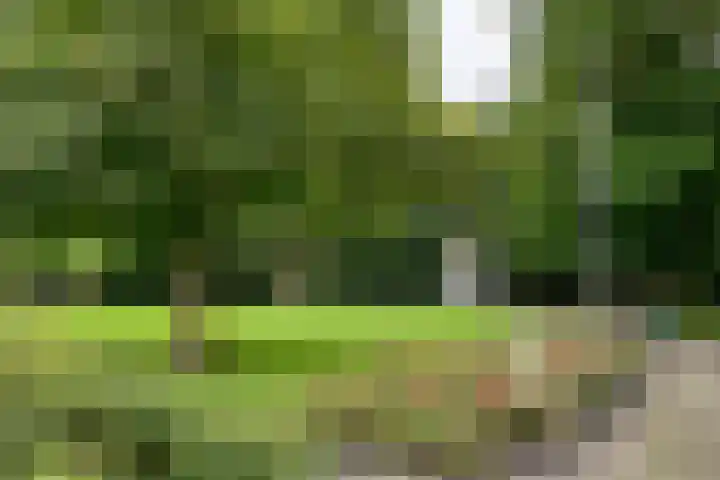 Dillenburglaan 8 Heiligerlee thumbnail 27