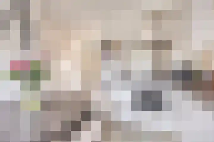Dillenburglaan 8 Heiligerlee thumbnail 4