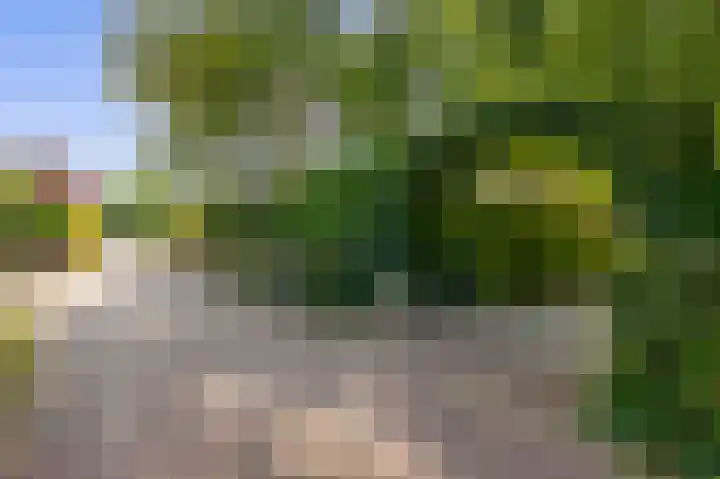Dillenburglaan 8 Voorschoten thumbnail 10