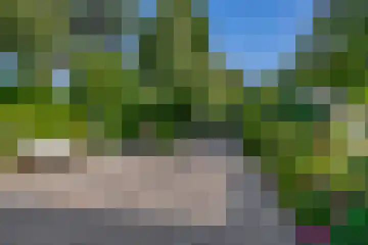Dillenburglaan 8 Voorschoten thumbnail 11